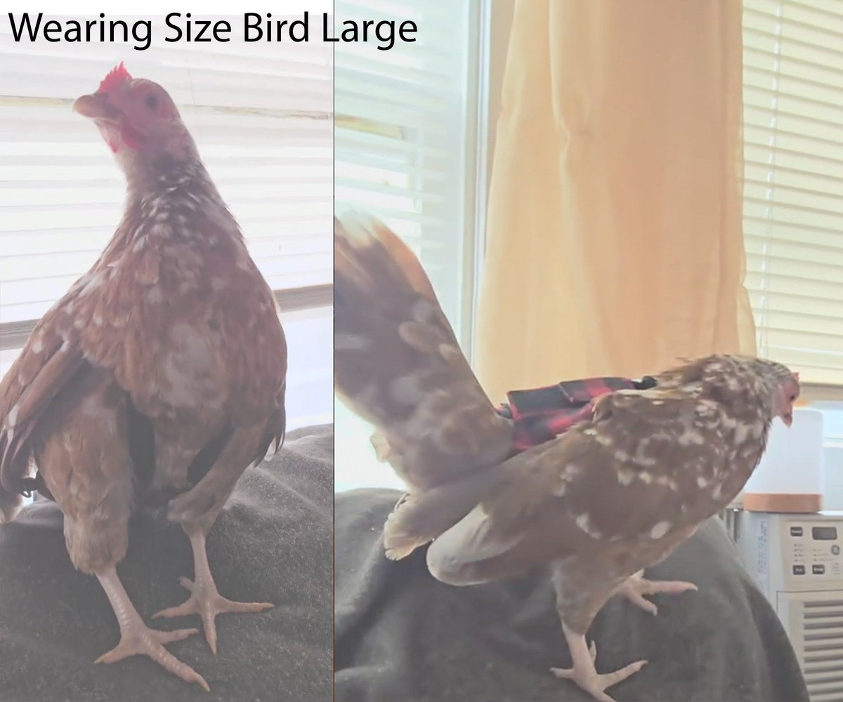 Bird Diaperalls