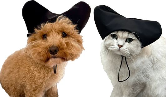 How to Size a Shower Cap for Your Dog or Cat