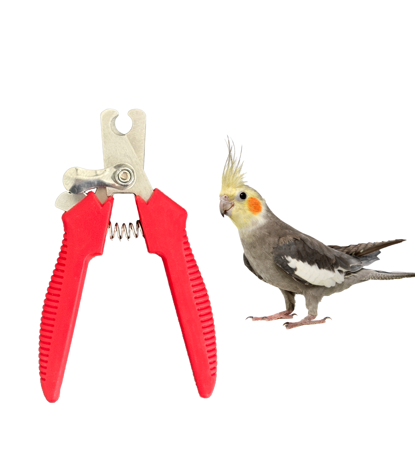 Bird Nail Clippers