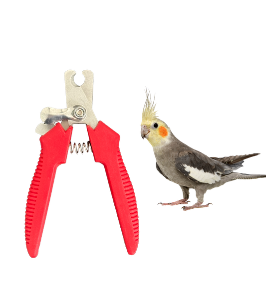 Bird Nail Clippers