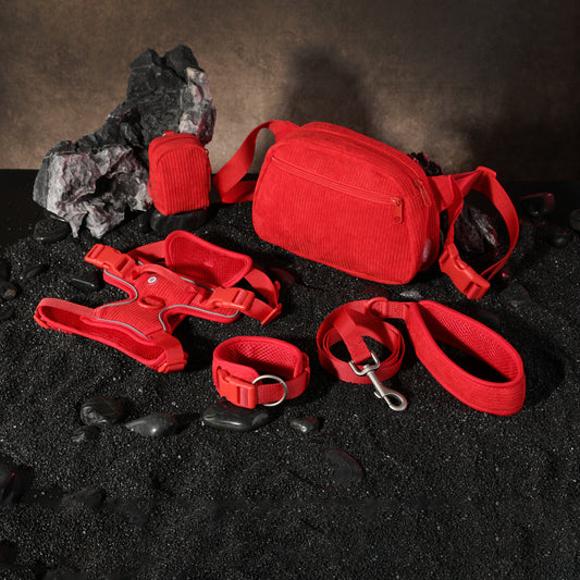 [Clearance] Dog Harness, Leash, Bag Matching Set - V1