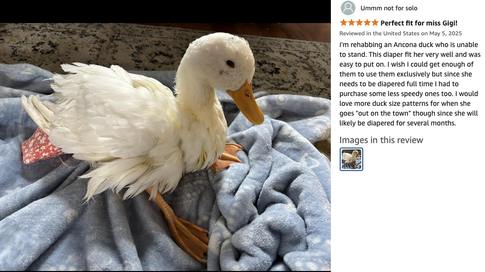 Duck Diapers, Adjustable - #1 Best Seller on Amazon