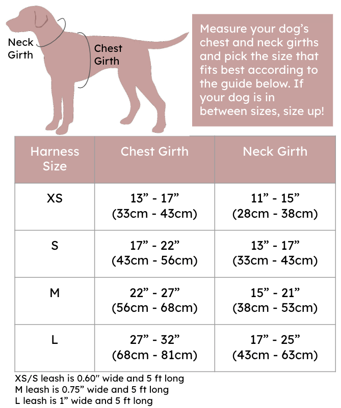 Pink & Rose Gold Dog Harness and Leash Set