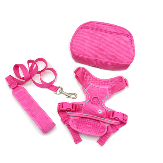 [Clearance] Dog Harness, Leash, Bag Matching Set - V1