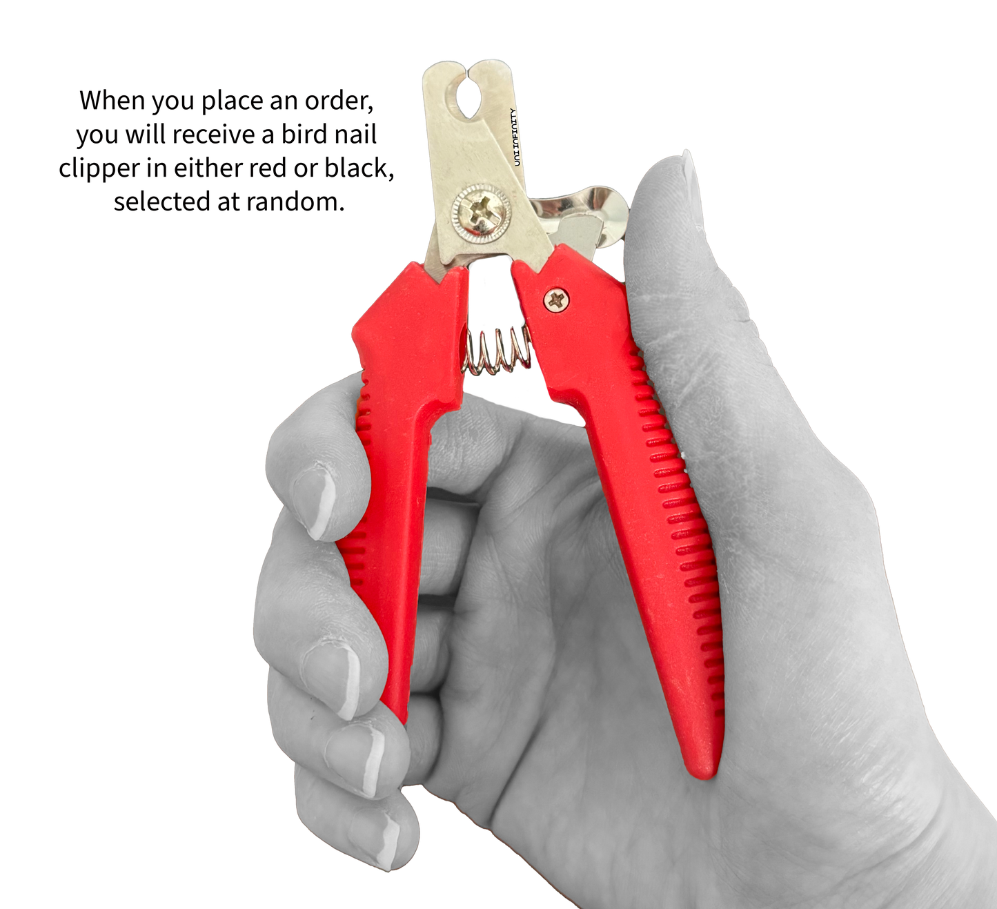 Bird Nail Clippers