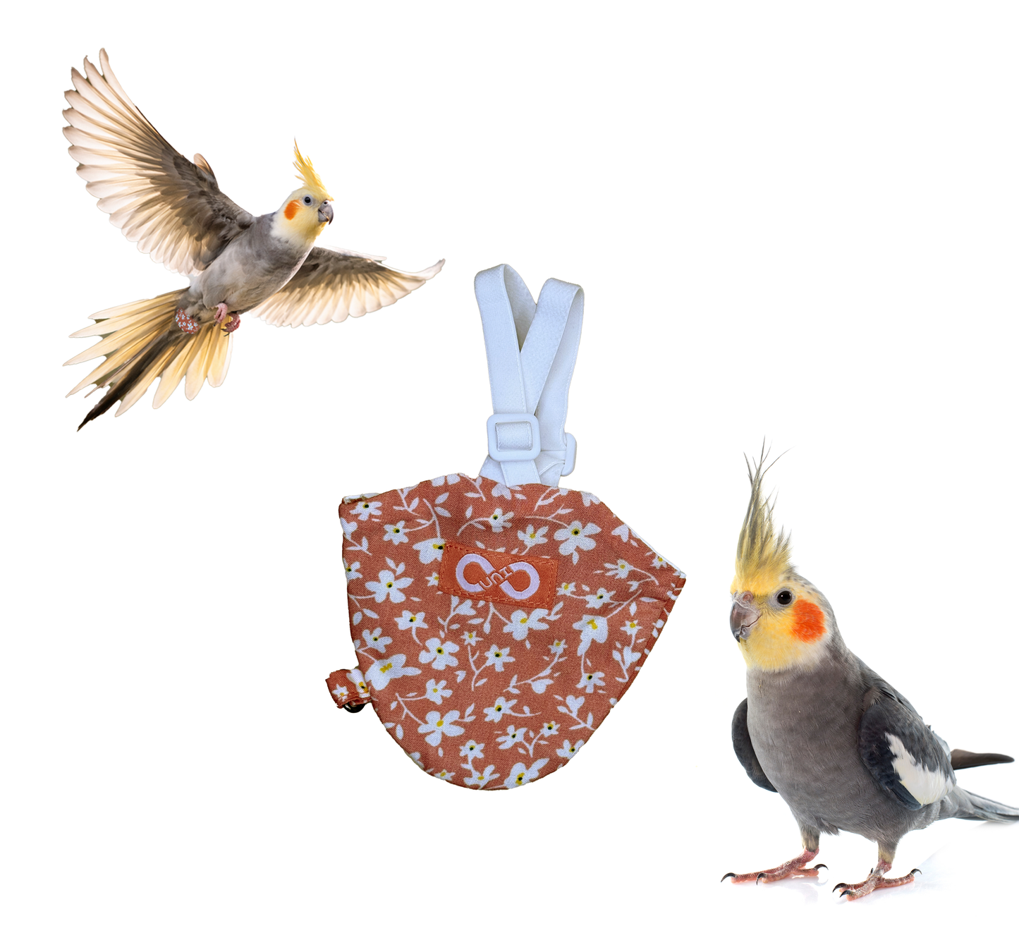Bird Diaperalls