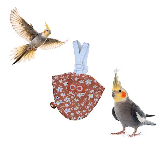 Bird Diaperalls