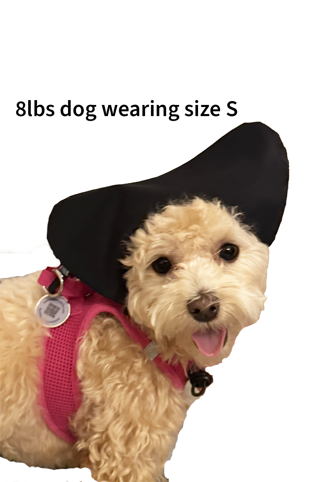 Shower Caps for Dogs and Cats
