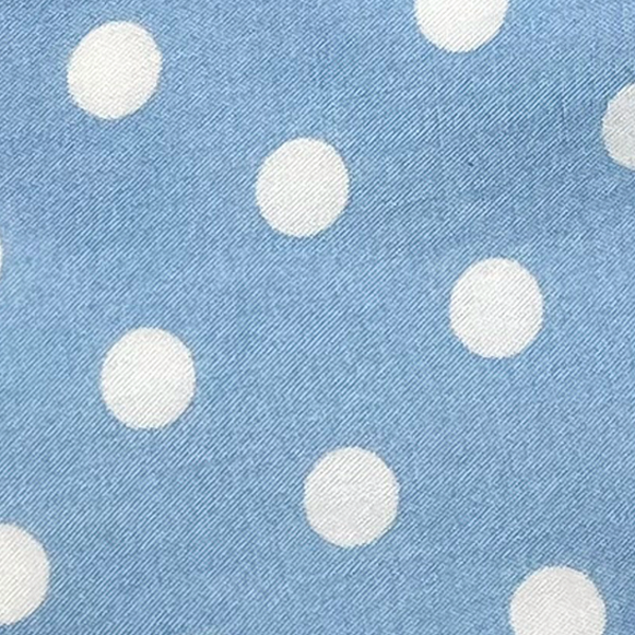 [Clearance] Chicken Diapers Diaperalls, First Generation Model V1