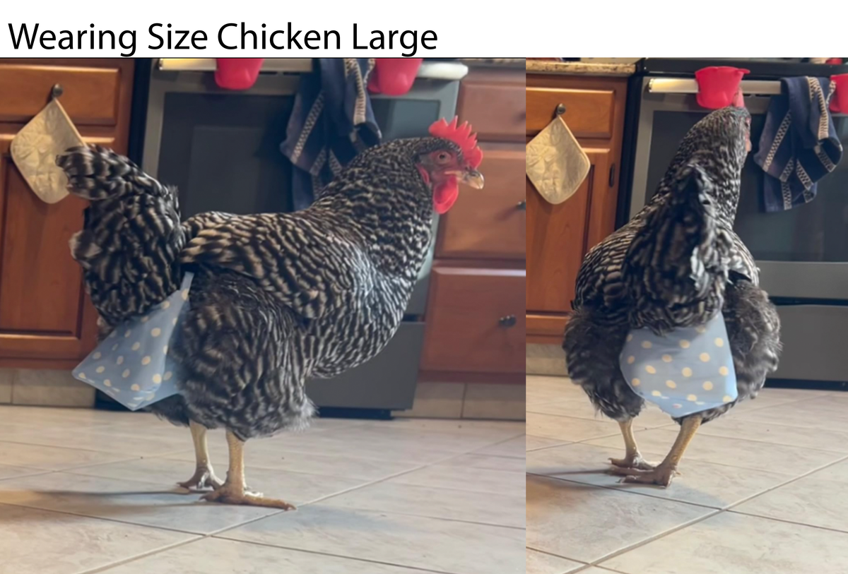 Chicken Diapers for Indoor Hens — Adjustable, Washable, Leakproof, 5 sizes (Diaperalls)