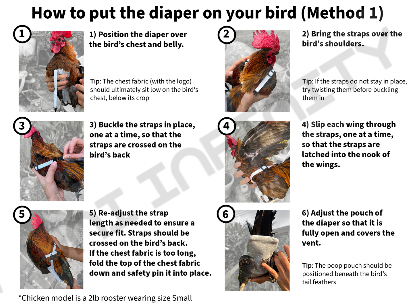 Chicken Diapers, Adjustable - #1 Best Seller on Amazon