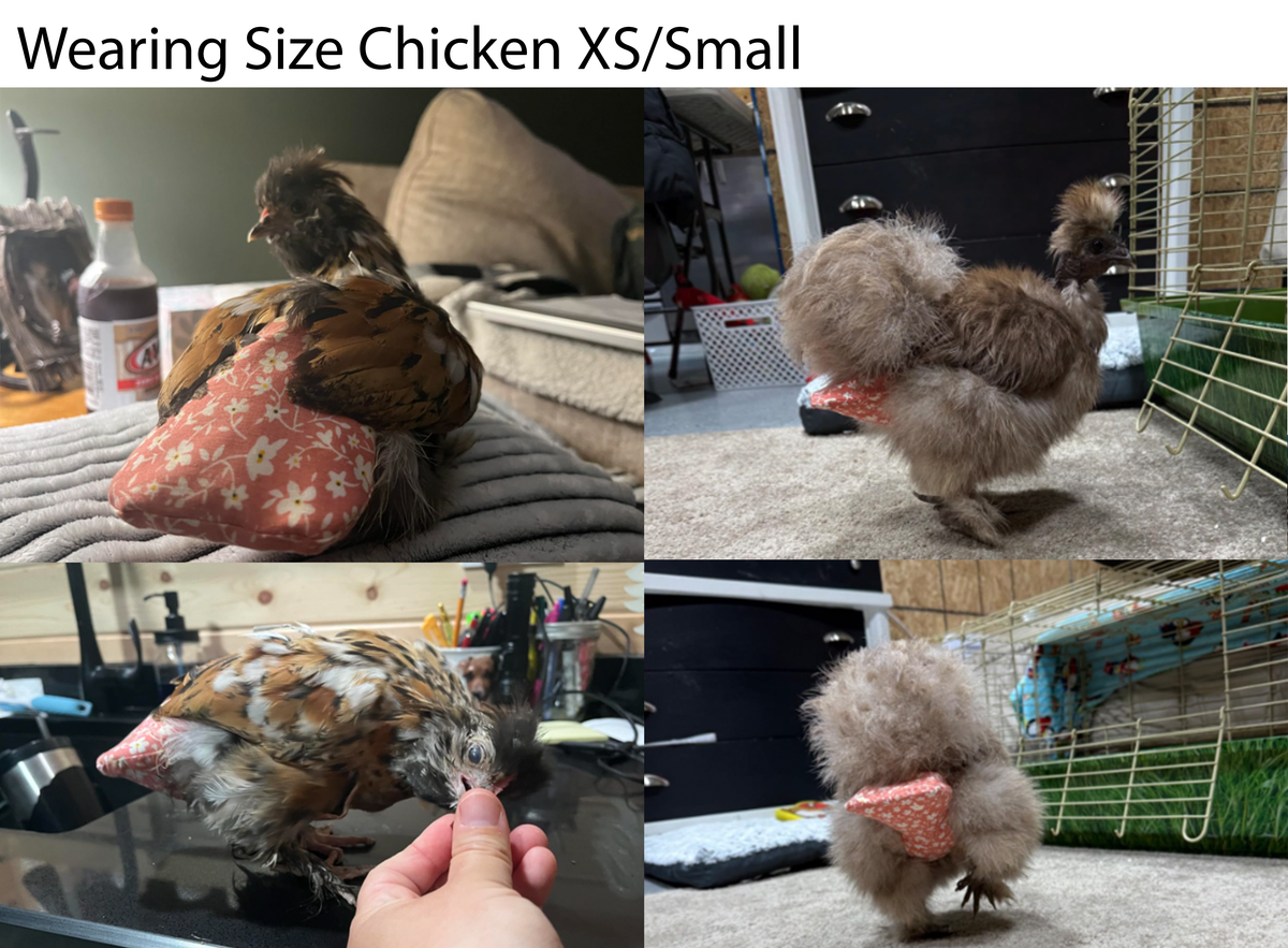 Chicken Diapers for Indoor Hens — Adjustable, Washable, Leakproof, 5 sizes (Diaperalls)