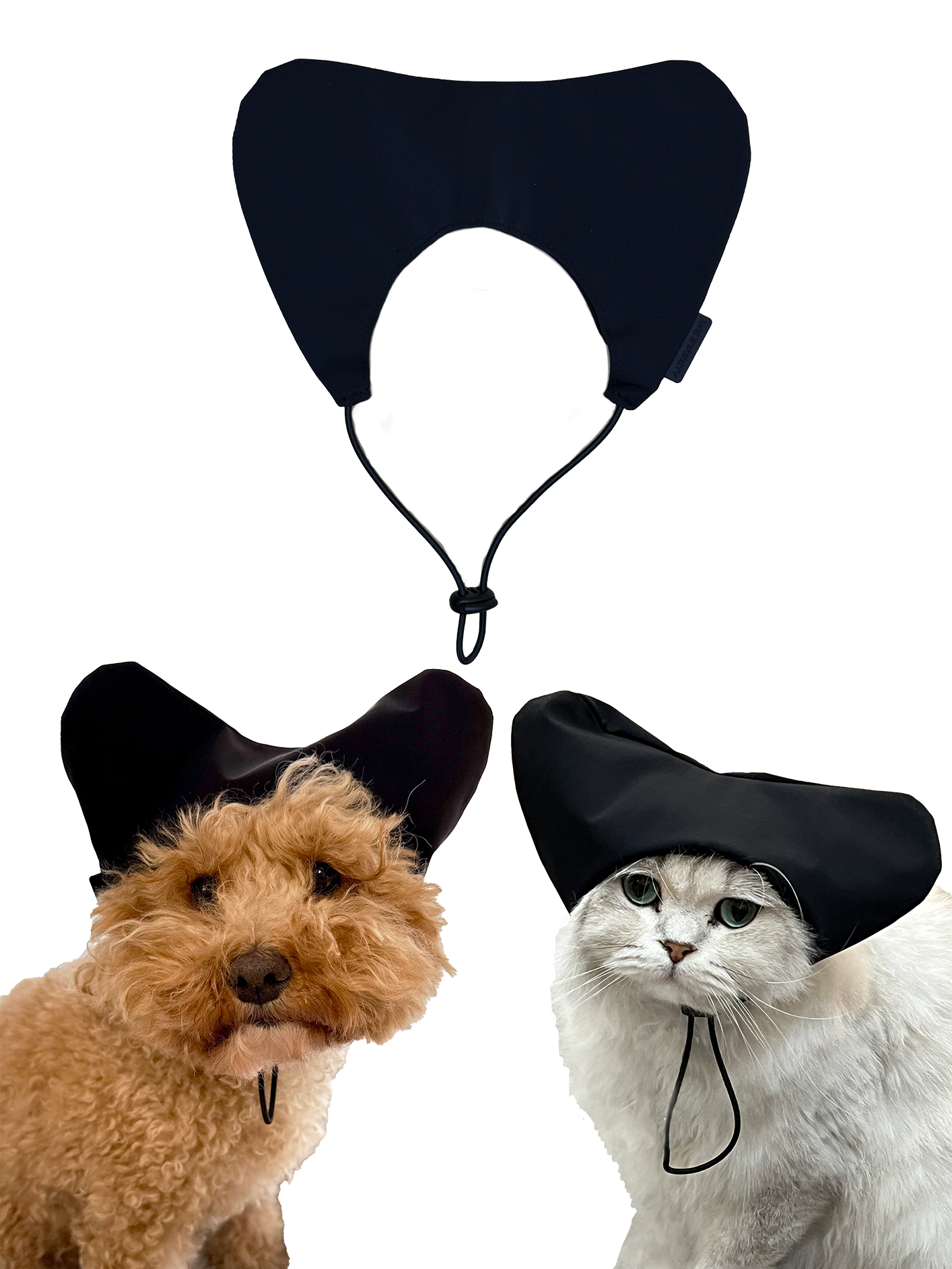 Shower Caps for Dogs and Cats