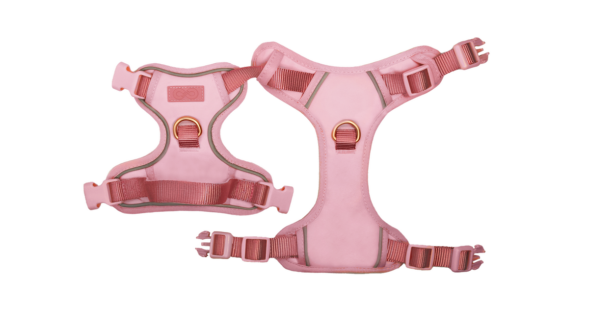 Pink & Rose Gold Dog Harness and Leash Set