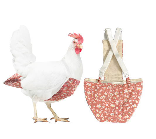Chicken Diapers for Indoor Hens — Adjustable, Washable, Leakproof, 5 sizes (Diaperalls)