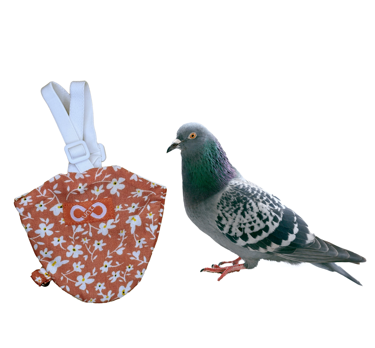 Bird Diaperalls