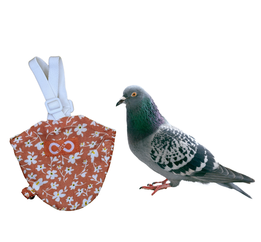 Bird Diaperalls