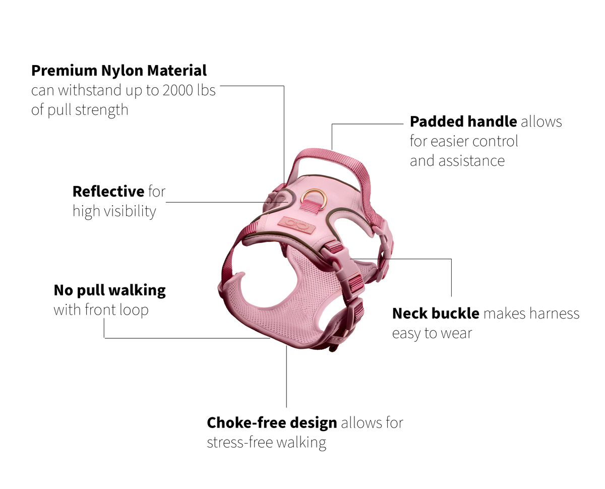 Pink & Rose Gold Dog Harness and Leash Set