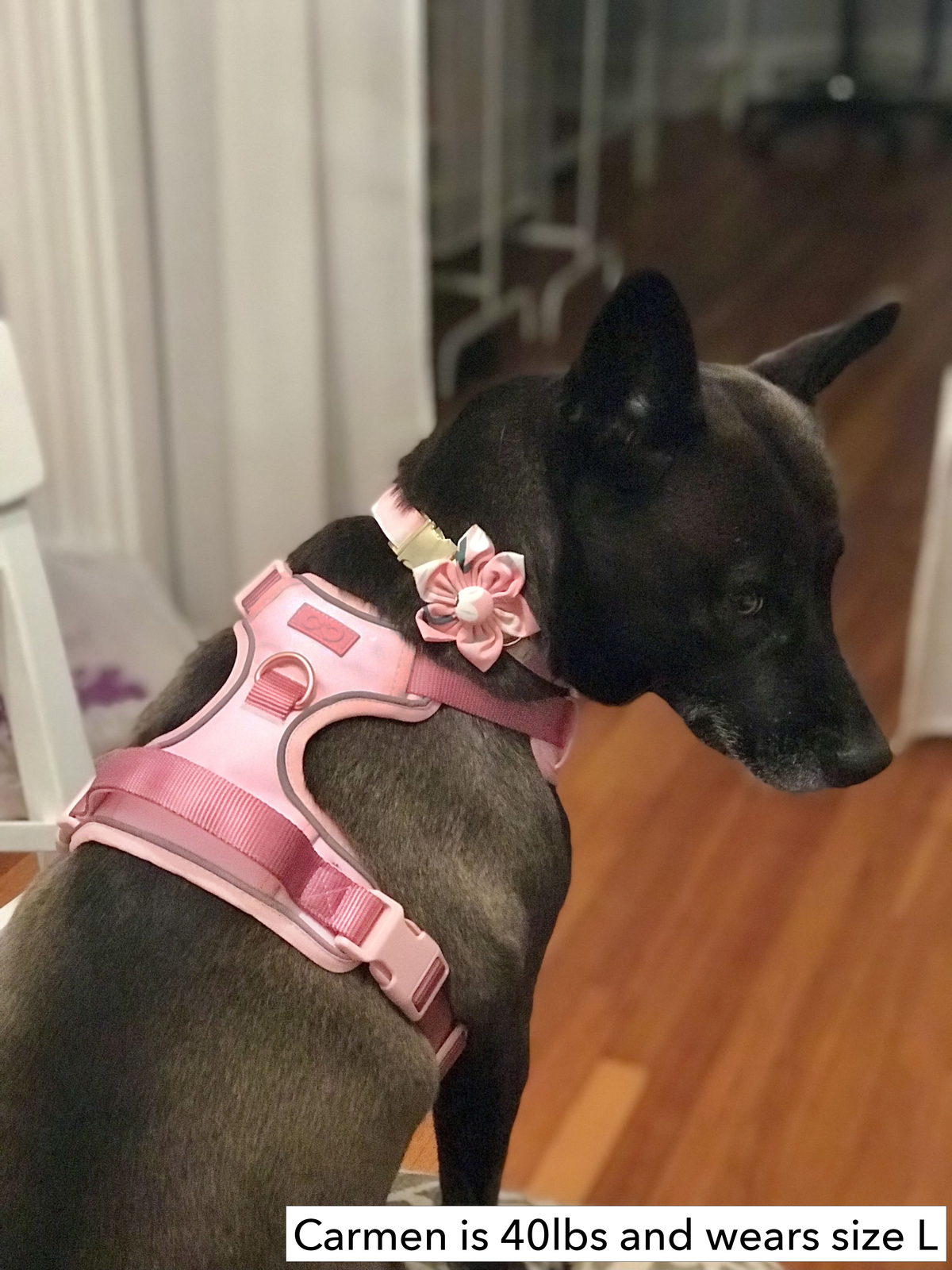 Pink & Rose Gold Dog Harness and Leash Set