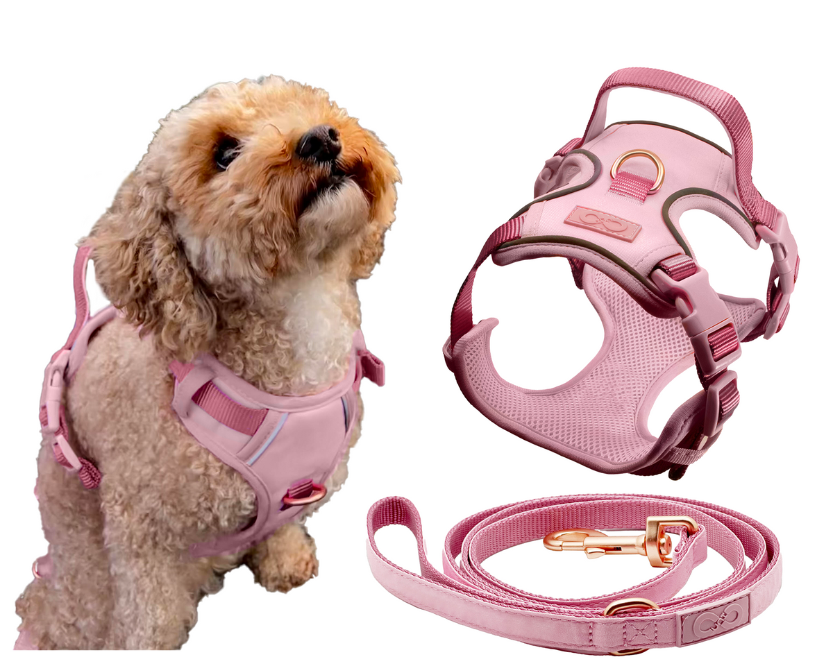 Pink & Rose Gold Dog Harness and Leash Set