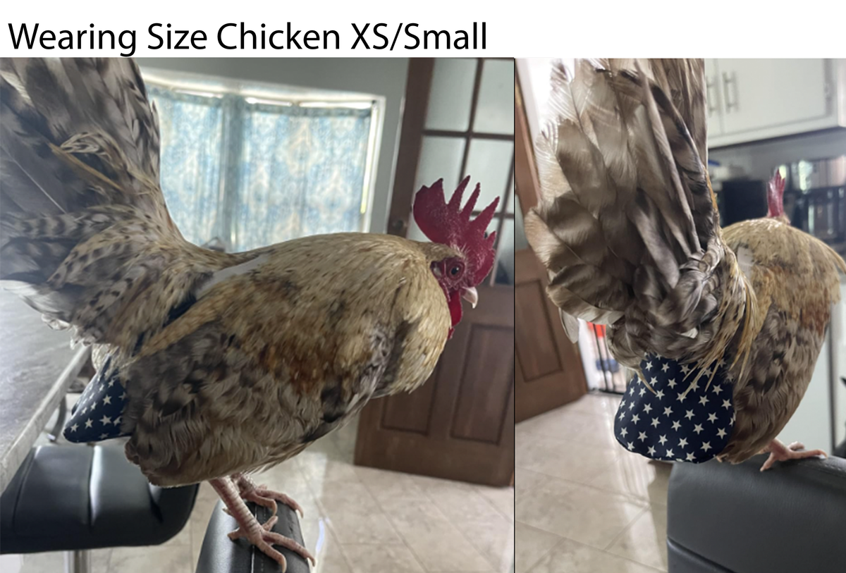 Chicken Diapers for Indoor Hens — Adjustable, Washable, Leakproof, 5 sizes (Diaperalls)
