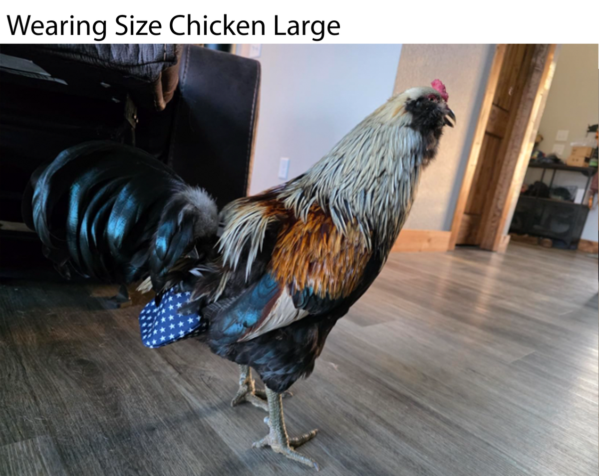 Chicken Diapers for Indoor Hens — Adjustable, Washable, Leakproof, 5 sizes (Diaperalls)