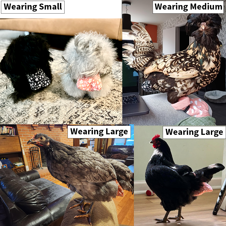 Chicken Diapers for Indoor Hens — Adjustable, Washable, Leakproof, 5 sizes (Diaperalls)