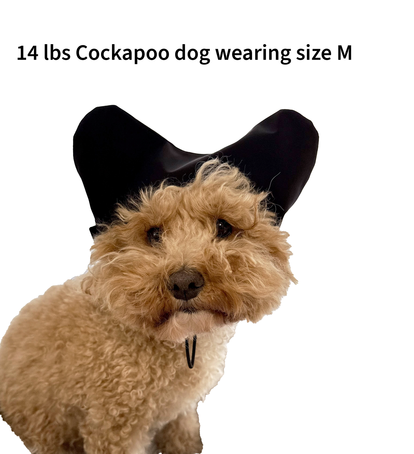 Shower Caps for Dogs and Cats