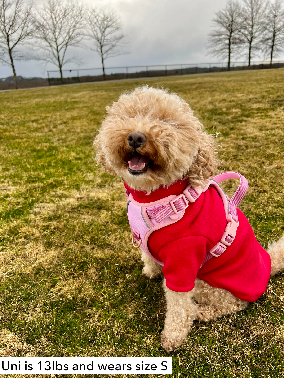 Pink & Rose Gold Dog Harness and Leash Set